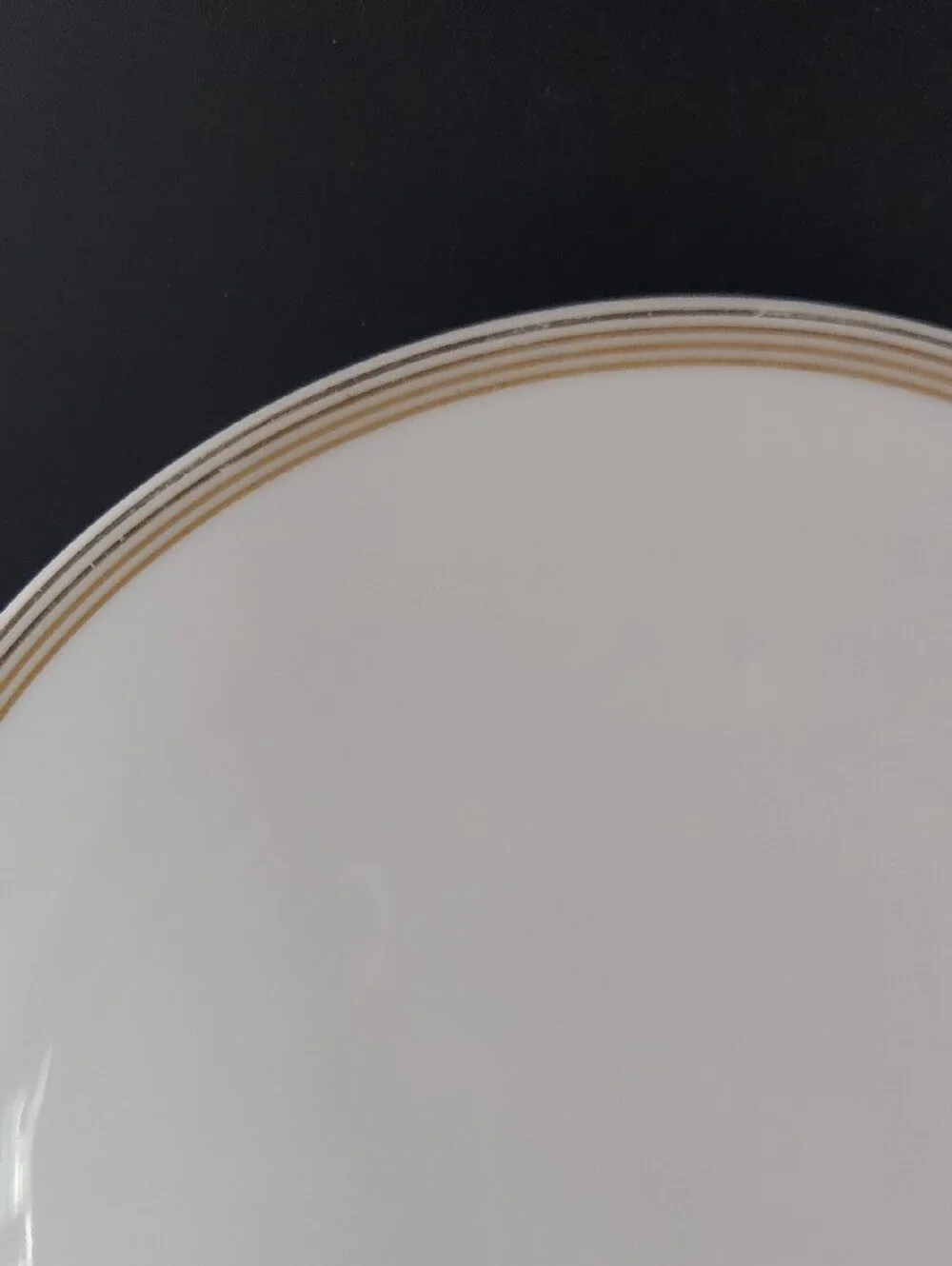 Martha Stewart Elegant White Dinner Plates with Gold Rim - Set of 3